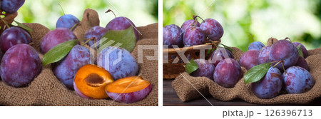 plum on the sackcloth with blurred background plum on the sackcloth with blurred background 126396713