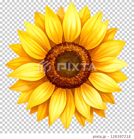 Sunflower Clipart Watercolor Joyful Natural Beauty 126397218