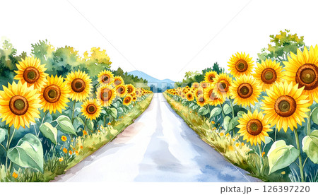 Sunflower Clipart Watercolor Joyful Natural Beauty 126397220