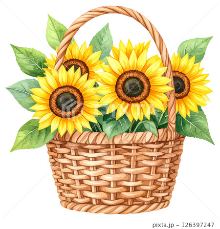 Sunflower Clipart Watercolor Joyful Natural Beauty Sunflower Clipart Watercolor Joyful Natural Beauty 126397247