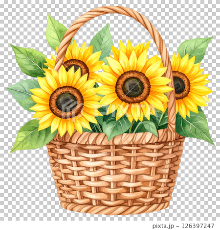 Sunflower Clipart Watercolor Joyful Natural Beauty 126397247