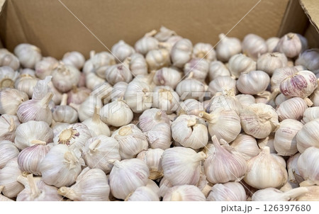 A lot of garlic in the box on sale in vegetable stand display at supermarket shop organic food, vegetarian food, healthy food. Close-up 126397680