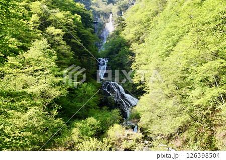 精進ヶ滝 精進ヶ滝 126398504