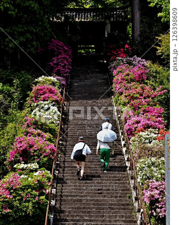 大興善寺の風景 大興善寺の風景 126398609