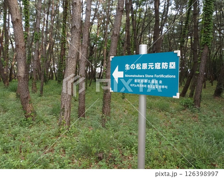元寇防塁の風景 元寇防塁の風景 126398997