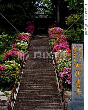 大興善寺の風景 大興善寺の風景 126399491