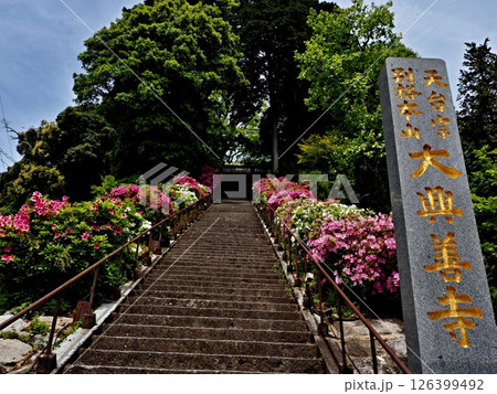 大興善寺の風景 大興善寺の風景 126399492