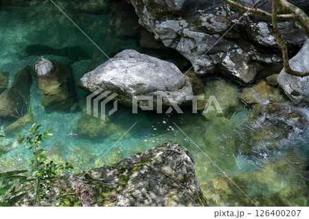 清らかな瀬戸川　初夏の清涼感　（高知県　土佐町　瀬戸川渓谷） 126400207