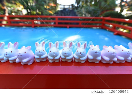 岡﨑神社のうさぎみくじ 126400942