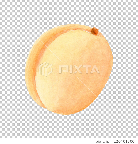 Whole ripe apricot watercolor illustration on a white background. Hand-painted fruit clip art perfect for packaging, culinary design, summer labels, garden branding, and organic product decoration 126401300