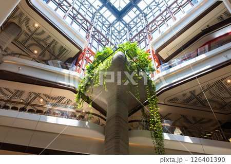 植物 工場 プランツ 126401390