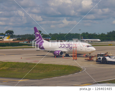 シンガポール・チャンギ国際空港にて待機中のカルディグ航空B737 シンガポール・チャンギ国際空港にて待機中のカルディグ航空B737 126401485