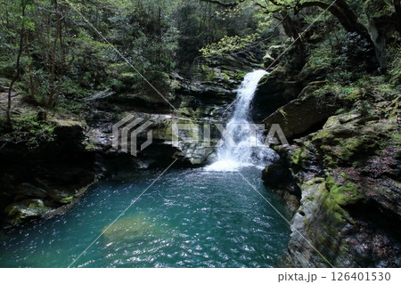 蛇渕の滝 初夏の景観 (高知県 土佐町 瀬戸川渓谷) 蛇渕の滝 初夏の景観 (高知県 土佐町 瀬戸川渓谷) 126401530