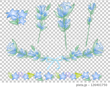 Gentian hand-drawn watercolor flower material set, Respect for the Aged Day 126401750