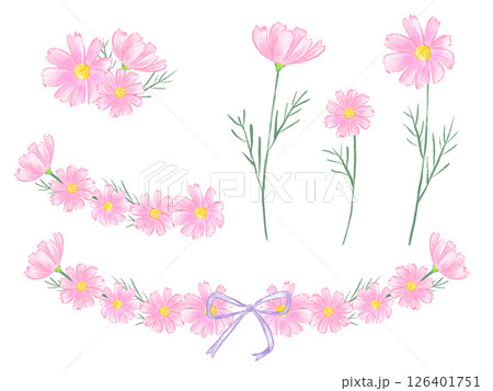 コスモスの花の手描き水彩イラストセット、秋の風景、敬老の日 126401751