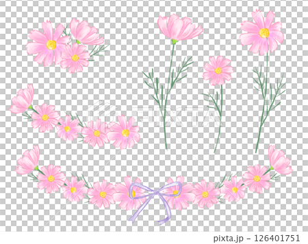 Hand-drawn watercolor illustration set of cosmos flowers, autumn landscape, Respect for the Aged Day 126401751