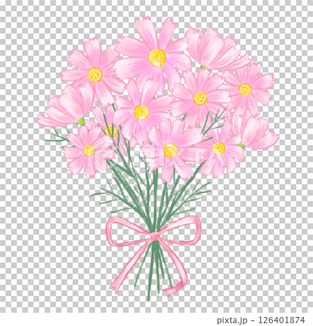 ピンクのコスモスの花束、優しい手描き水彩イラスト、秋、敬老の日 ピンクのコスモスの花束、優しい手描き水彩イラスト、秋、敬老の日 126401874