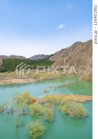 秋扇湖の水没林。日本、秋田 126401902
