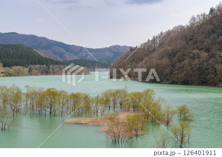 秋扇湖の水没林。日本、秋田 秋扇湖の水没林。日本、秋田 126401911
