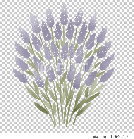 Hand Drawn Lilac Shrub Watercolor Clipart for Cottagecore Journaling, Scrapbooking, Wedding Cards, Invitations, Planners, and Crafting Projects 126402173
