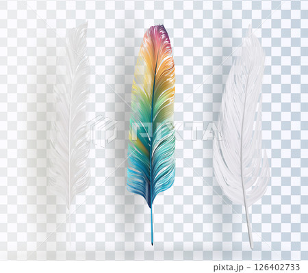 Old Feather After Feather Louse Vector Worn ink quill on transparent background 126402733