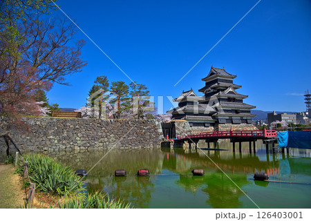 《長野県》春の国宝松本城 126403001