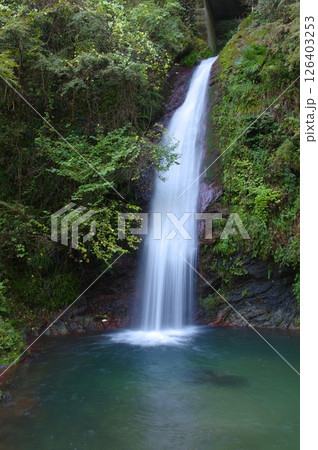 秋の秩父華厳の滝 秋の秩父華厳の滝 126403253