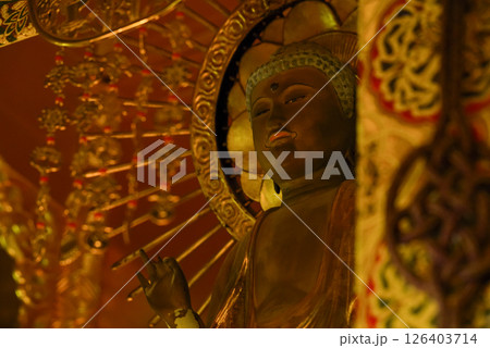 阿弥陀如来像 126403714