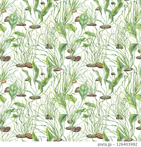 Watercolor aquatic plants, algae and pebbles creating underwater bottom effect seamless pattern isolated background. Water floating kelps illustration. Aquarium ornate for marine biodiversity decor. 126403992