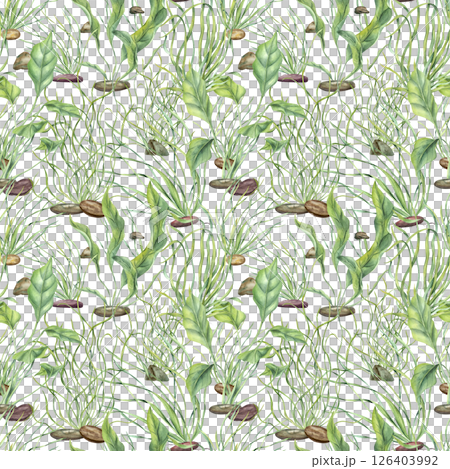 Watercolor aquatic plants, algae and pebbles creating underwater bottom effect seamless pattern isolated background. Water floating kelps illustration. Aquarium ornate for marine biodiversity decor. 126403992