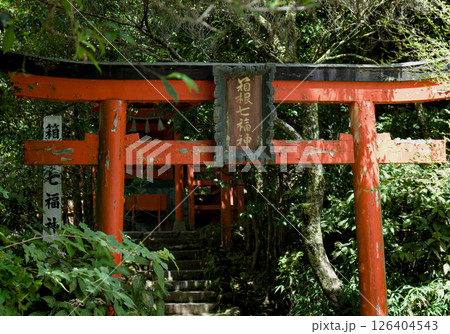 緑に囲まれた赤い鳥居が綺麗な風景 126404543