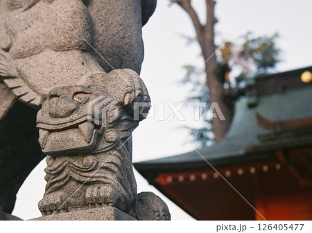 多摩市小野神社の狛犬の子犬の像のフィルム写真 126405477