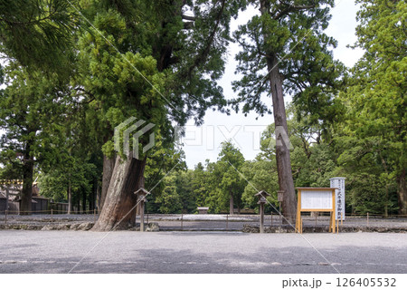 式年遷宮御敷地　第63回神宮式年遷宮　伊勢神宮の風景　外宮の御敷地　伊勢志摩観光名所　伝統行事　　 126405532