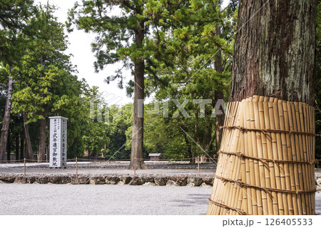 式年遷宮御敷地　第63回神宮式年遷宮　伊勢神宮の風景　外宮の御敷地　伊勢志摩観光名所　伝統行事　　 126405533