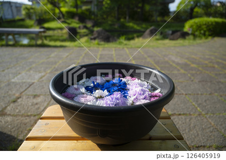 行田 花手水 126405919