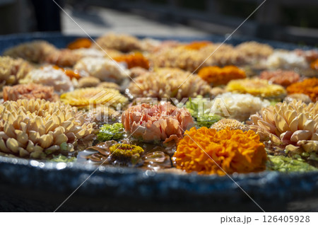 行田 花手水 126405928