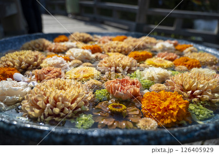 行田 花手水 126405929