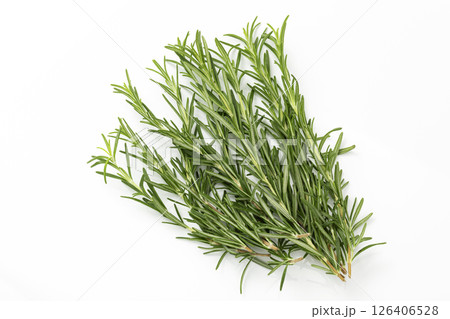 白バックのローズマリー 126406528