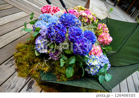 紫陽花のある風景 紫陽花のある風景 126406585