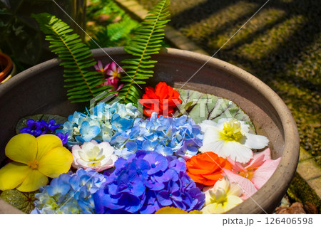 水に浮かぶ花 126406598