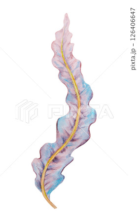 Hand drawn watercolor illustration of a wavy pink and purple leaf with yellow central vein, resembling underwater seaweed or a fantasy botanical element. Ideal for botanical or marine-themed designs. 126406647