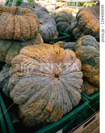Pile of pumpkin in the supermarket. Pile of pumpkin in the supermarket. 126406696