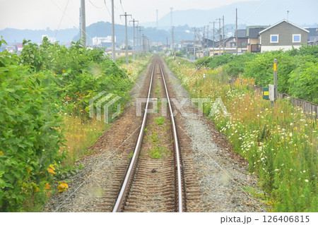 JR北海道、室蘭本線の洞爺駅から北舟岡駅までの普通列車車窓風景(2023年夏曇り空) 126406815