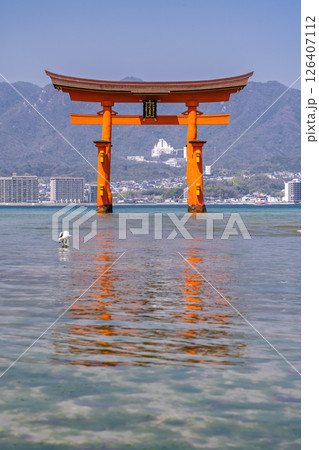 《広島県》宮島厳島神社・大鳥居 126407112