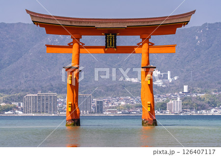 《広島県》宮島厳島神社・大鳥居 《広島県》宮島厳島神社・大鳥居 126407117