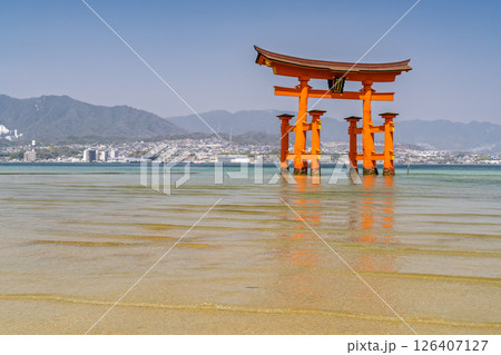 《広島県》宮島厳島神社・大鳥居 126407127