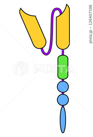 Chimeric antigen receptor T-cell. Symbol of CAR T cell. S 126407386