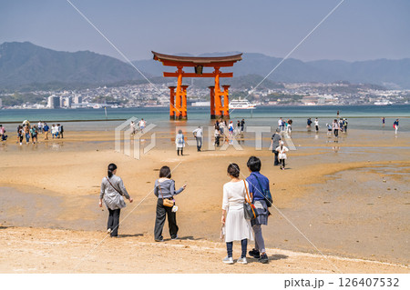 《広島県》宮島厳島神社・大鳥居 126407532