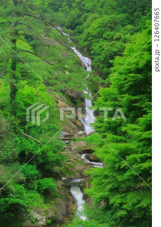 見帰りの滝(佐賀県唐津市) 見帰りの滝(佐賀県唐津市) 126407665