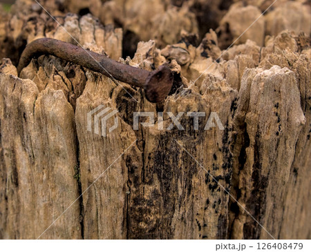 crooked and oxidized nail in a post 126408479